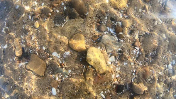 돌멩이와 조개로 뒤덮인 모래 바닥의 노란 바닥. — 스톡 사진