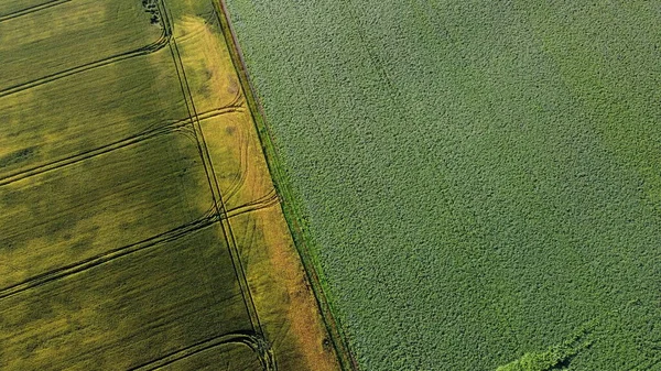 Vol aérien par drone au-dessus de différents champs agricoles — Photo