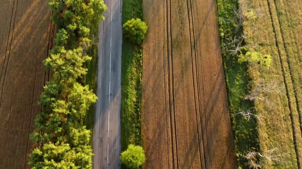 Voo de drone aéreo sobre estrada de asfalto com árvores verdes entre campos de trigo — Fotografia de Stock