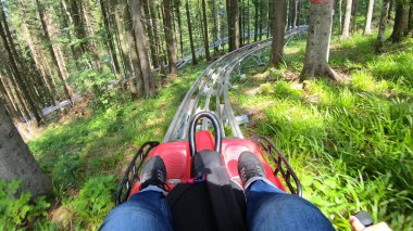 Hızlı rodelbahn 'a binen kişi ağaçların arasındaki dağlarda kızakla kayıyor.