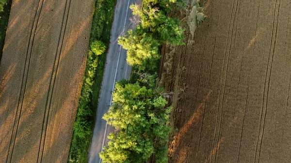 Vue aérienne d'un drone survolant une route asphaltée avec des arbres verts — Photo