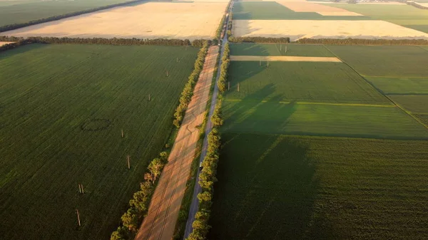 Drohne fliegt bei Sonnenuntergang über Straße zwischen verschiedenen landwirtschaftlichen Feldern. — Stockfoto