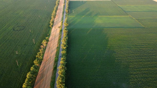 Drohne fliegt bei Sonnenuntergang über Straße zwischen grünen landwirtschaftlichen Feldern. — Stockfoto