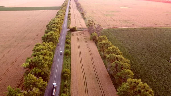 Drone voando sobre a estrada entre campos de trigo durante o pôr do sol. — Fotografia de Stock