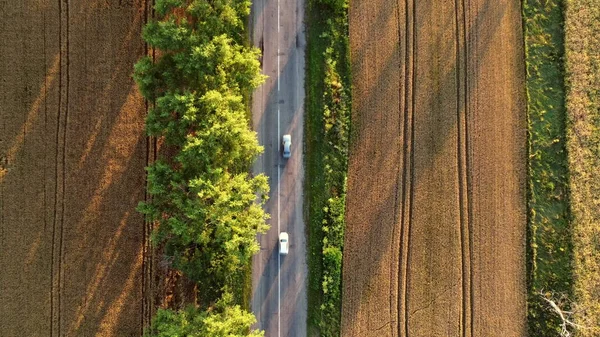 Vue aérienne d'un drone survolant une route asphaltée avec des arbres verts entre des champs de blé — Photo