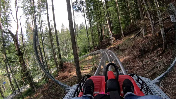 Людина катається на швидкому слайді в горах у лісі серед дерев — стокове фото