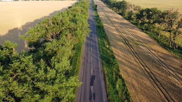 Повітряний вигляд польоту безпілотника над шосе пшеничне поле і зелені дерева на світанку заходу сонця — стокове фото