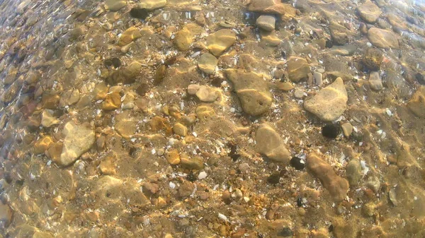 Fondo fondo amarillo arenoso con piedras rocas y conchas marinas. — Foto de Stock
