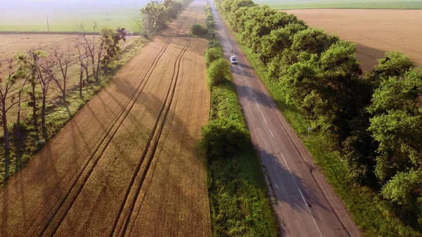 Повітряний вигляд польоту безпілотника над шосе пшеничне поле і зелені дерева на світанку заходу сонця — стокове фото