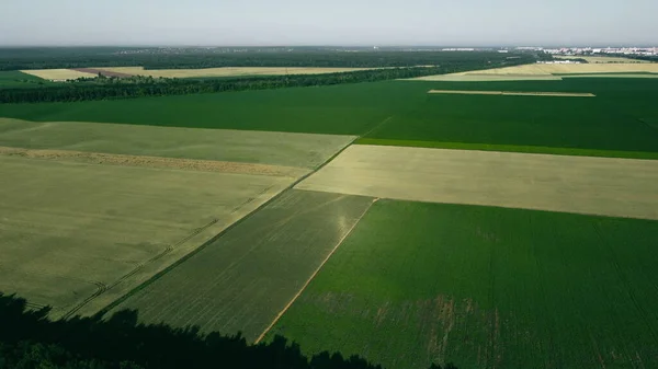 Vue aérienne d'un drone survolant différents champs agricoles ensemencés — Photo