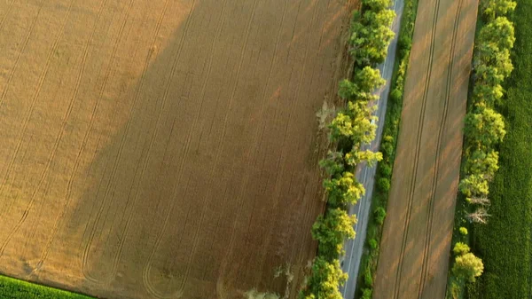 Voo de drone aéreo sobre estrada de asfalto com árvores verdes — Fotografia de Stock