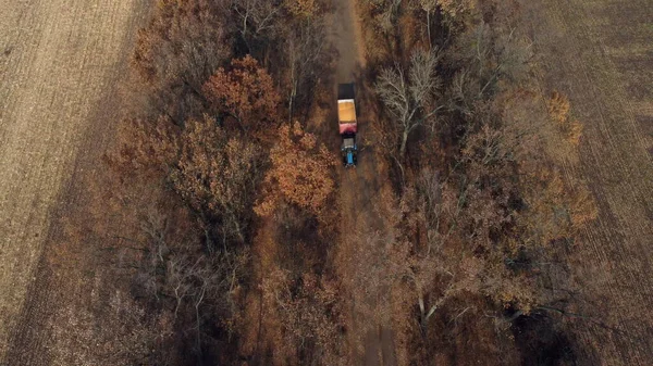 Aerial Drone View Flight Over Blue Tractor With Trailer Filled Yellow Corn Grain — 스톡 사진