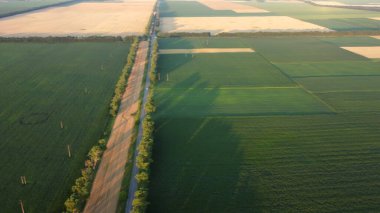 Hava aracı şafak vakti farklı tarlalar arasında uçuyor..