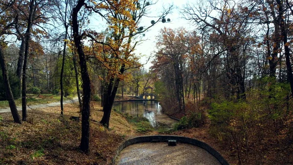 Göl ve mimariyle parktaki ağaç dalları arasında uçan hava aracı görüntüsü — Stok fotoğraf