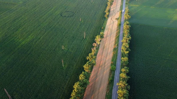 Drohne fliegt bei Sonnenuntergang über Straße zwischen grünen landwirtschaftlichen Feldern. — Stockfoto