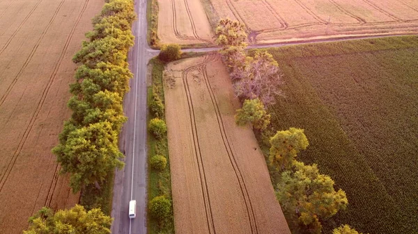 Drone survolant la route entre les champs de blé au coucher du soleil de l'aube. — Photo