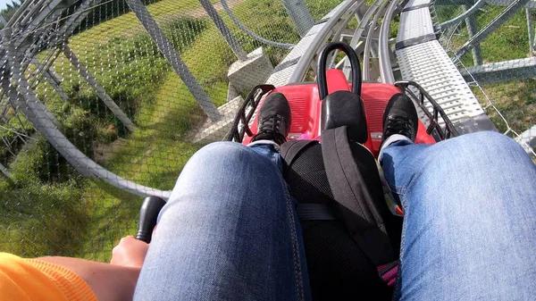 Hızlı rodelbahn 'a binen kişi ağaçların arasındaki dağlarda kızakla kayıyor.