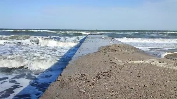 Güneşli bir günde yürüyen martı fırtınası. Deniz dalgaları beyaz köpük. — Stok video