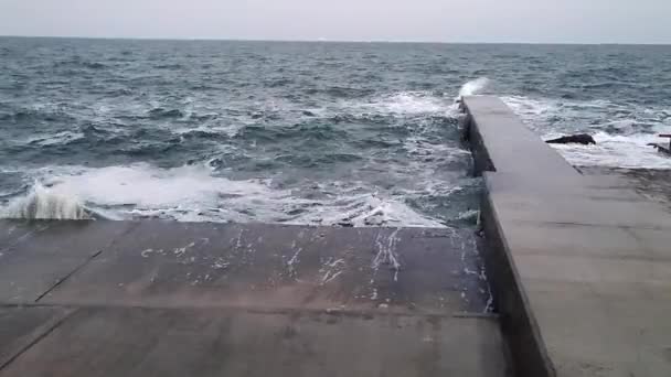 Sol hormigón tormenta rompeolas caminar gaviota día soleado mar olas espuma blanca — Vídeo de stock