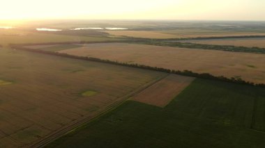 Farklı büyüyen alanlar üzerinde uçan hava aracı görüntüsü
