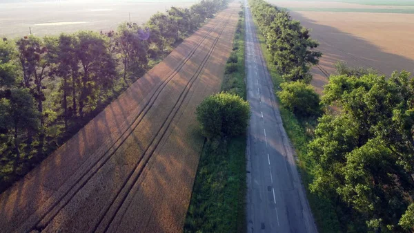 Повітряний вигляд польоту безпілотника над шосе пшеничне поле і зелені дерева на світанку заходу сонця — стокове фото