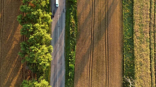 Drohnenflug über asphaltierte Straße mit grünen Bäumen — Stockfoto