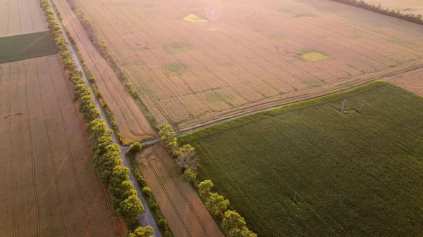 Drone voando sobre a estrada entre campos de trigo durante o pôr do sol. — Fotografia de Stock
