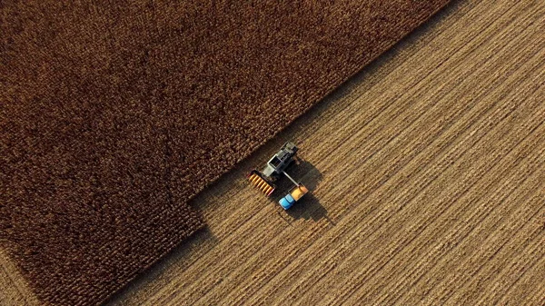 Colheitadeira derrama o milho após a colheita em campo para trás do veículo de carga — Fotografia de Stock