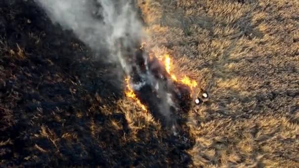 Повітряний дрон Перегляд Політ над двома пожежниками, які підпалюють поле — стокове відео
