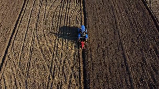 트랙터에 타고 있는 트랙터 운전사가 땅 위에 있습니다. 공중에서 요. 트랙터를 타고 밭을 가는 농부 — 비디오