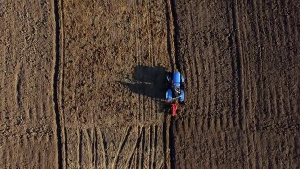 Le conducteur du tracteur sur les charrues du tracteur atterrit. Aérien. Agriculteur dans le sol de labour tracteur — Video