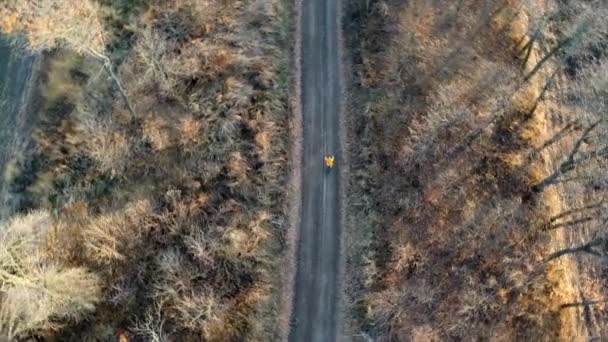 Drone aéreo vista homem em jaqueta amarela passeios de bicicleta na estrada de terra preta — Vídeo de Stock