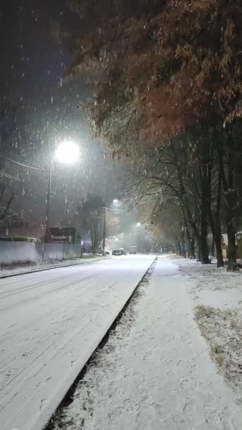 Kış gecesi şehir caddesinde kar yağışı manzarası. — Stok video