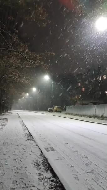 Sneeuwlandschap op straat in de winter 's nachts. Twee mensen lopen op de stoep — Stockvideo