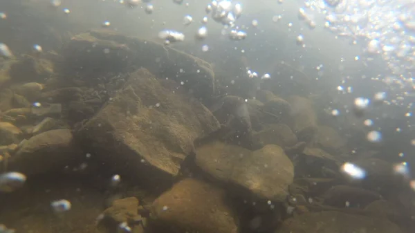 진흙과 갈색의 명주로 덮여 있는 오래 된 돌들이 강 바닥에 놓여 있다 — 스톡 사진