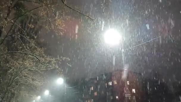 Parlayan bir fenerin arka planında yağan karın görüntüsü — Stok video