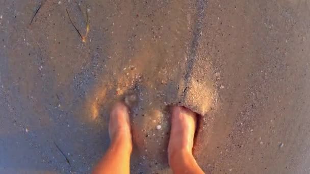 Mädchen mit nackten Füßen wühlen im nassen Sand des Strandes am Strand bei Sonnenuntergang — Stockvideo