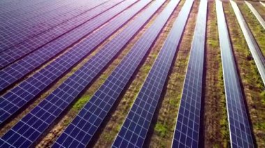 Güneş panellerinden oluşan mor mor çizgiler. Alandaki güneş enerjisi santrali.