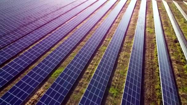 Azul violeta líneas púrpuras de bloques de paneles solares planta de energía solar en el campo — Vídeos de Stock
