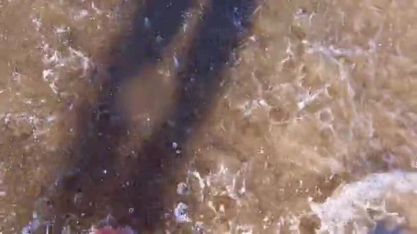 Flicka med bara fötter går på vatten på sandstrand i havet och stänk vatten — Stockvideo