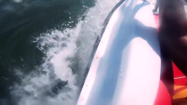 Motorboot springen op zee golven op zonnige dag. Blauw zeewater, witte spatten — Stockvideo