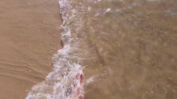 Дівчина з голими ногами йде по воді на піщаному пляжі моря і бризкає воду — стокове відео