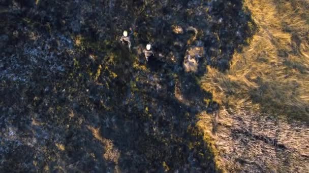 Dos bomberos caminan sobre tierra negra quemada después del fuego y queman hierba seca — Vídeos de Stock