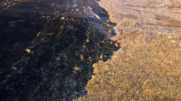 Aerial Drone View két tűzoltó eloltja a tüzet a területen száraz fű — Stock videók