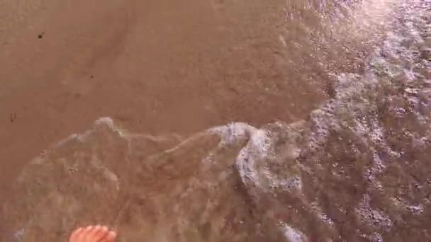 Girl with bare feet walking on water on sandy beach of sea and splashes water — Stock Video