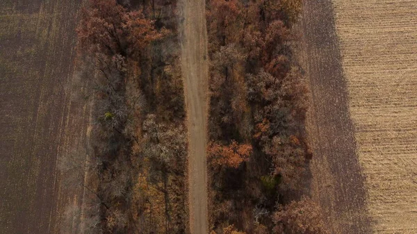 Vue paysage de la route rurale de terre entre les arbres parmi les champs le jour ensoleillé d'automne — Photo