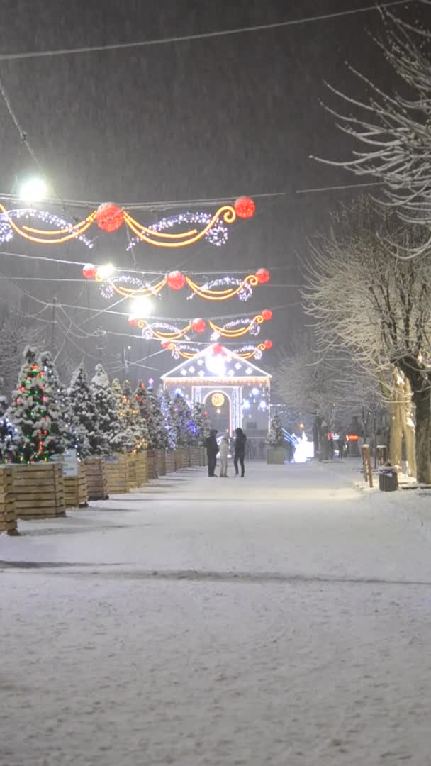 Улица города во время снегопада зимней ночью. Освещение и оформление улиц. — стоковое видео