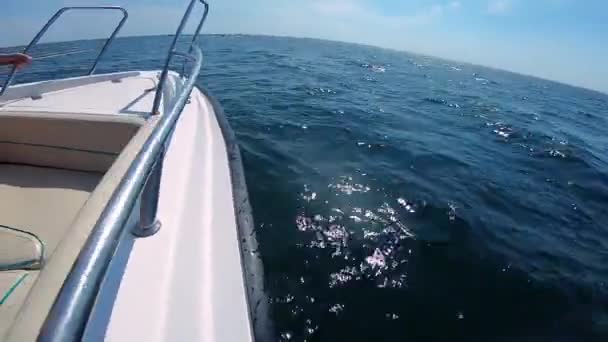 Vue de proue de bateau à moteur qui se déplace le long des vagues de la mer sur une journée ensoleillée d'été. — Video