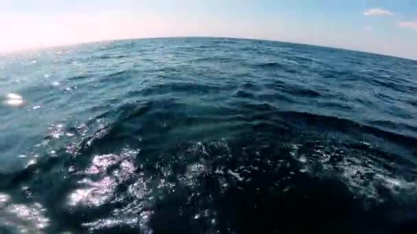 Вид на відкрите море з човна. Морський пейзаж, морський краєвид — стокове відео