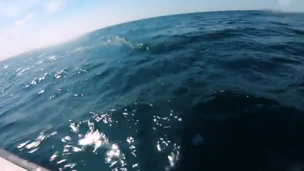 Vista del mar abierto desde el barco. Paisaje marino, paisaje marino — Vídeo de stock